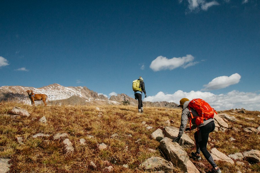 Two people and a dog hiking across a rocky mountain meadow