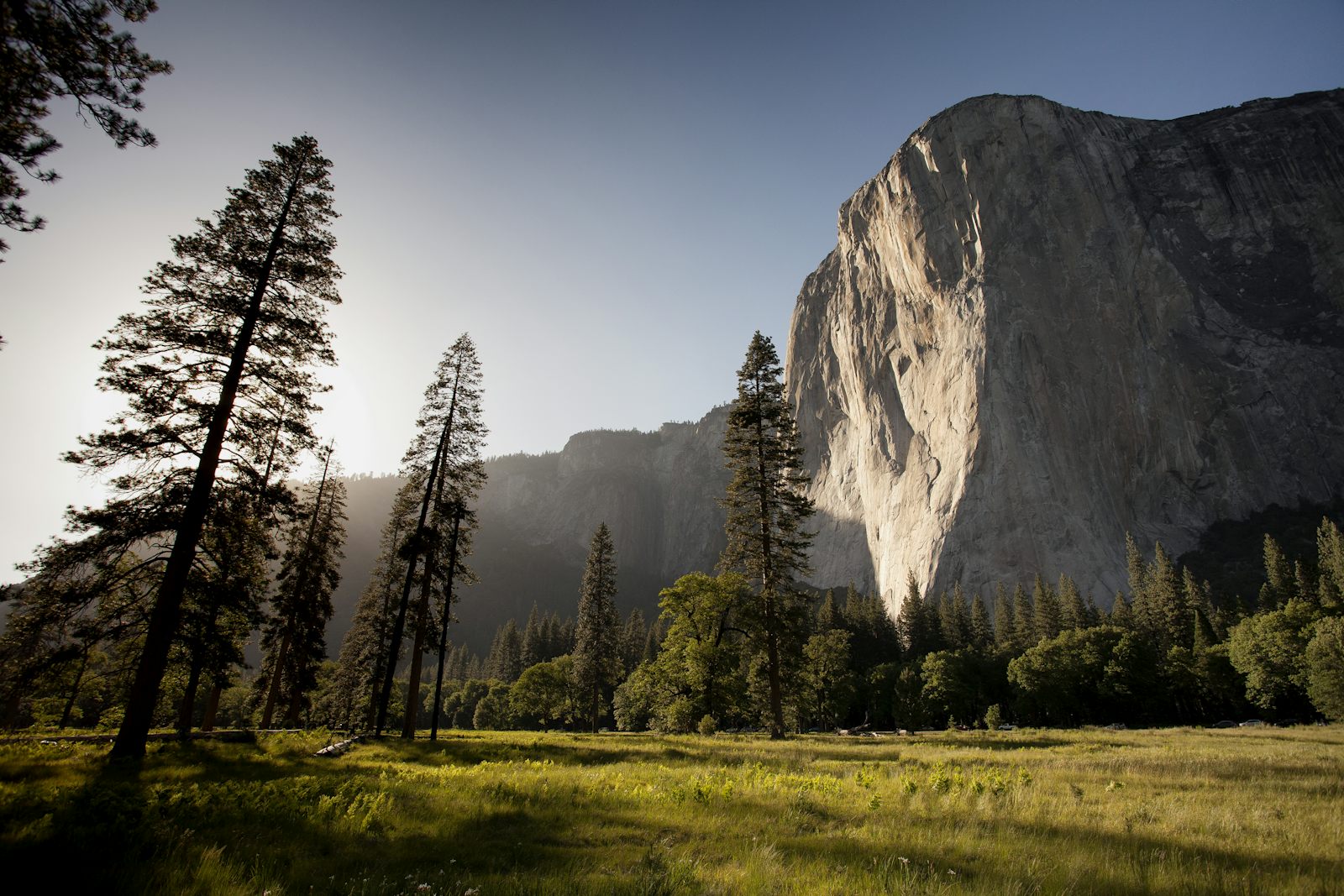 Granite cliff rising above a meadow and pine trees in Yosemite